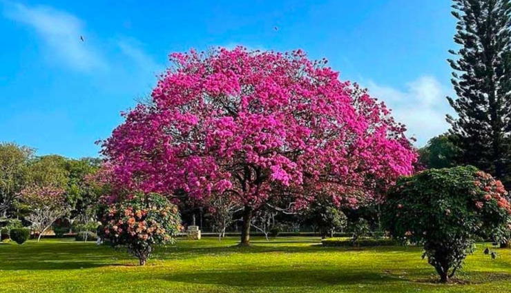 bangalore,things to do in bangalore,places to visit in bangalore,bangalore palace,cubbon park,urban life at mg road,lalbagh,bannerghatta national park,ub city mall