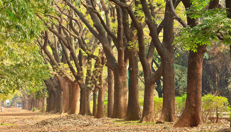 bangalore,things to do in bangalore,places to visit in bangalore