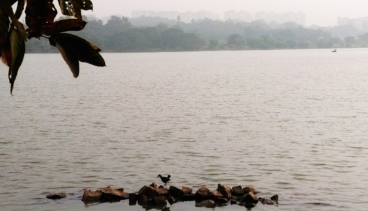lakes to visit in bangalore,bangalore,must visit lakes,madiwala lake,ulsoor lake,hebbal lake,lalbagh lake,kaikondrahalli lake,hesaraghatta lake