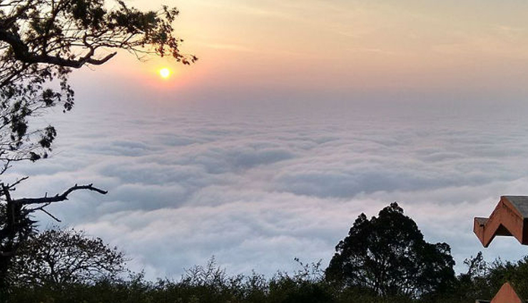 bangalore,places to visit in bangalore,romantic places in bangalore,lal bagh botanical garden,bannerghatta national park,nandi hills,hot air balloon ride