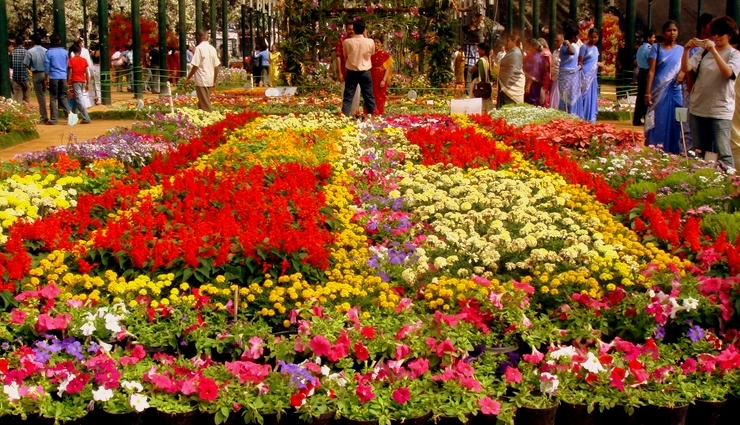 bangalore,things to do in bangalore,places to visit in bangalore,bangalore palace,cubbon park,urban life at mg road,lalbagh,bannerghatta national park,ub city mall