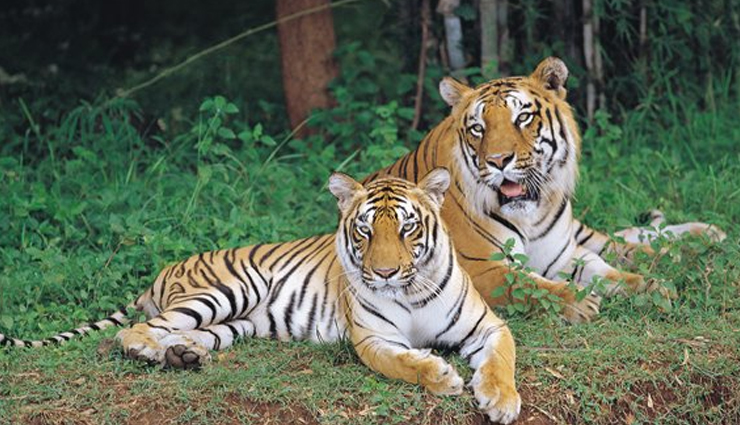 bangalore,things to do in bangalore,places to visit in bangalore