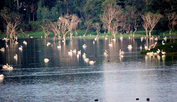 places to visit in bangalore,bangalore,tourist places in bangalore,bangalore fort,bangalore palace,lalbagh botanical garden,cubbon park,bugle rock,ulsoor lake,kaikondrahalli lake