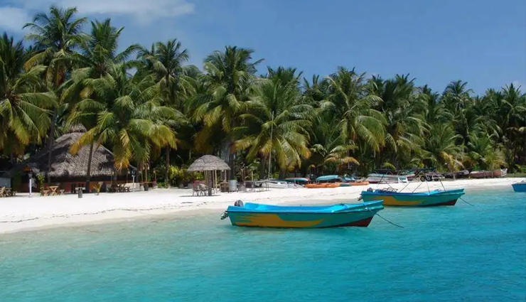 must-visit beaches in south india,top south indian beaches to explore,best coastal destinations in south india,south india must-see beach spots,beach travel in south india,unmissable beaches of south india,exploring the finest beaches in south india,coastal gems to visit in south india,south india beach tourism,popular beaches to see in south india,scenic beach getaways in south india,south india beach travel highlights,beach vacation spots in south india,south india picturesque beach destinations,coastal wonders you must visit in south india,discovering south india stunning beaches,south india top beach experiences,planning your beach trips in south india,ultimate beach destinations in south india