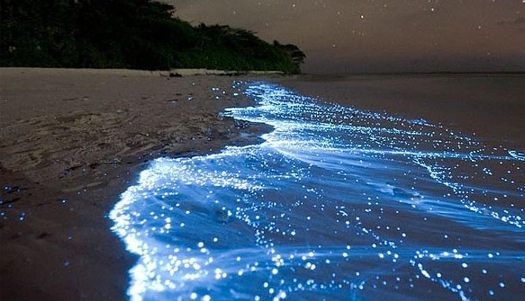 underrated beaches in india,exotic beaches in india,hidden beaches in india,best quiet beaches in india,secret beaches in india,unexplored beaches in india,offbeat beach destinations india,tranquil beaches in india,lesser-known indian beaches,best beaches for solitude india,indian beaches away from crowds,coastal gems in india,top hidden beaches india,indias serene beaches,undiscovered beaches india