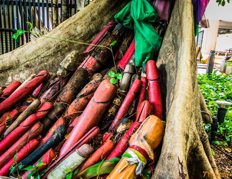 इस मंदिर में चढ़ाये जाते हैं लकड़ी के लिंग, कारण ऐसा जो आप सोच भी नहीं सकते weird story,penis,bangkok
