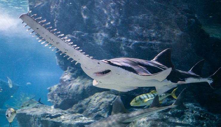 bangkok attractions,things to do in bangkok,best places to visit in bangkok,bangkok travel guide,floating markets bangkok,safari world bangkok,emerald buddha temple,khaosan road nightlife,siam paragon mall,bangkok tourism,lumpini park,sea life ocean world,madame tussauds bangkok,giant swing bangkok,wat suthat temple,bangkok sightseeing,bangkok shopping places,bangkok must-visit places