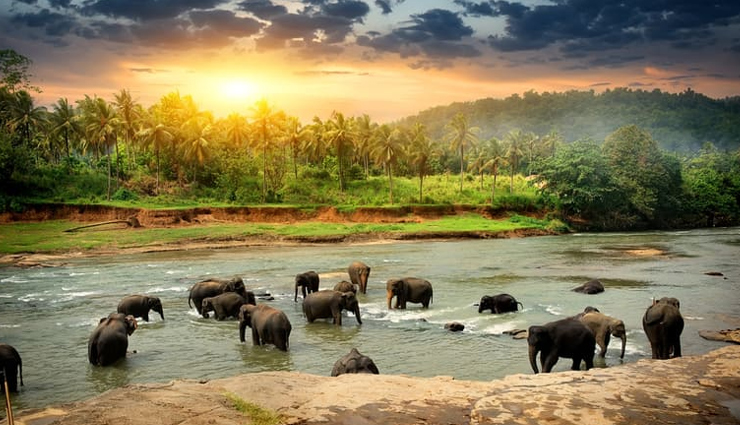 bangalore weekend attractions,must-see places in bangalore this weekend,top 10 places to visit in bangalore,weekend itinerary for bangalore visitors,bangalore tourist spots for the weekend,best weekend destinations in bangalore,explore bangalore weekend hotspots,weekend getaway ideas in bangalore,things to do in bangalore this weekend,exciting places to visit in bangalore