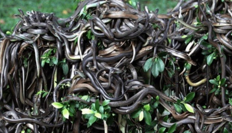 people are afraid to go to these place,places where the government has imposed a ban,holidays,travel,tourism