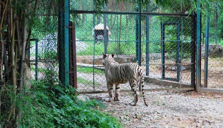 monsoon bangalore 2022,places to visit in monsoon in karnataka,bangalore monsoon,places to visit for 3 days near bangalore,tourist places near bangalore within 100 kms,monsoon trekking near bangalore,places to visit near bangalore in august,places to visit in monsoon in south india