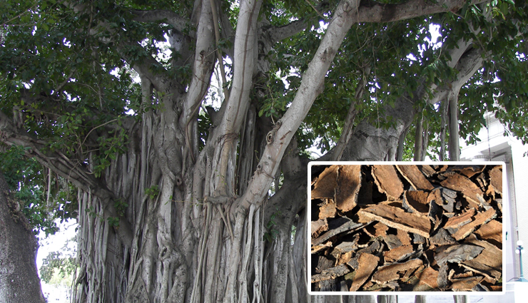 home remedies for uti,natural uti treatments,uti remedies at home,herbal remedies for uti,uti home treatments,uti natural cures,home remedies for urinary tract infection,uti natural remedies,uti relief at home,best home remedies for uti