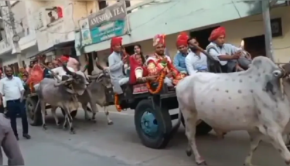 कपड़ा व्यापारी की 10 बैलगाड़ियों से न‍िकली बारात, सादगी में सम्पन्न हुई शादी
