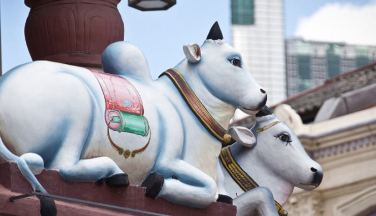 story of 1st day of diwali,vasu baras,history of vasu baras,diwali,diwali 2017,diwali special