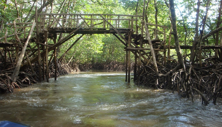 port blair,tourist spots in port blair,port blair travel,port blair tourism,andaman nicobar island,holidays,travel guide,travel tips