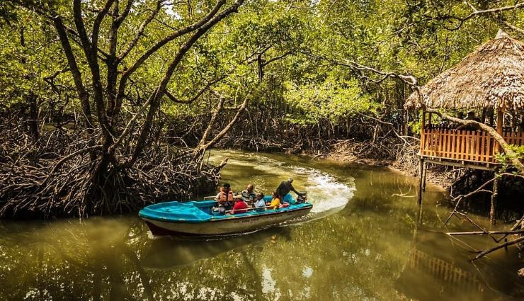 andaman and nicobar islands tourist destinations,top places to visit in andaman and nicobar islands,andaman and nicobar islands travel guide,scenic beauty of andaman and nicobar islands,unexplored islands in andaman and nicobar,best beaches in andaman and nicobar islands,andaman and nicobar islands adventure tourism,romantic getaways in andaman and nicobar islands,cultural heritage sites in andaman and nicobar islands,wildlife tourism in andaman and nicobar islands,island hopping in andaman and nicobar islands,andaman and nicobar islands honeymoon destinations,luxury resorts in andaman and nicobar islands,water sports in andaman and nicobar islands,andaman and nicobar islands scuba diving,best time to visit andaman and nicobar islands,andaman and nicobar islands holiday packages,andaman and nicobar islands tourism packages,andaman and nicobar islands travel tips,how to reach andaman and nicobar islands