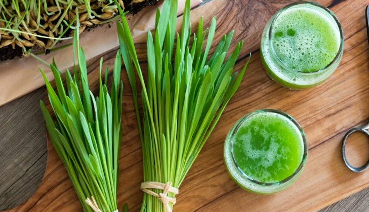 8 Proven Health Benefits of Barley Grass