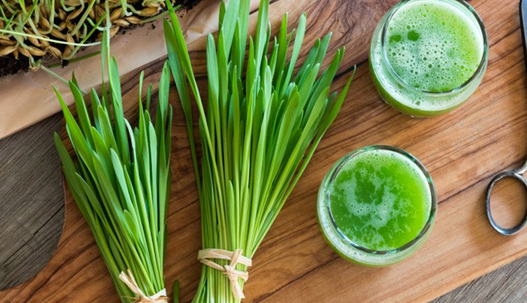 dengue fever,treating dengue fever,dengue fever treatment,home remedies to treat dengue fever,dengue fever symptoms,Health