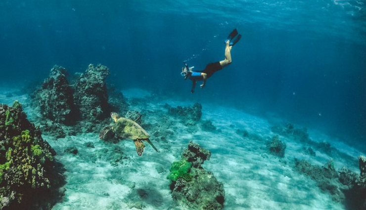 andaman scuba diving spots,best diving destinations in andaman,top andaman scuba sites,scuba diving adventures in andaman,andaman diving spots exploration,andaman scuba diving hotspots,andaman underwater experiences,andaman dive sites discovery,best places for scuba diving in andaman,andaman diving adventures