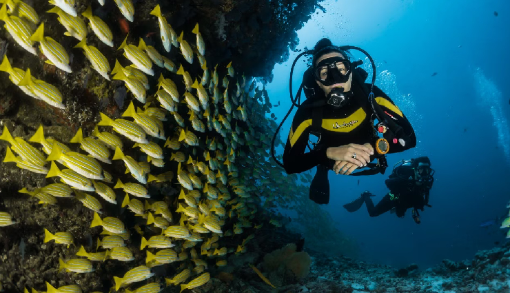 andaman scuba diving spots,best scuba diving locations in andaman,scuba diving experiences andaman,top dive sites in andaman,andaman underwater adventures,diving excursions andaman islands,andaman diving destinations,scuba diving tours andaman,explore underwater andaman,andaman diving tips
