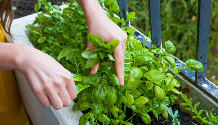 hair growth,hair growth tips,hair care tips,hare care,hair,hair problem,hair growth tips,beauty hacks,beauty tips