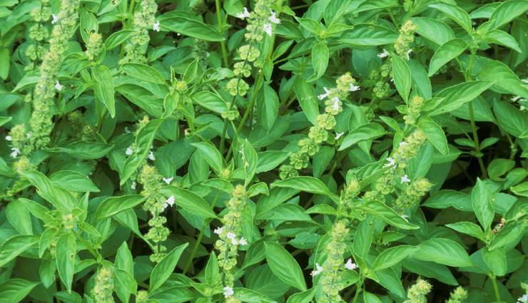 high blood pressure,tips to lower high blood pressure,high blood pressure problem,high bp,bp problem,how to treat high blood pressure,Health,Health tips