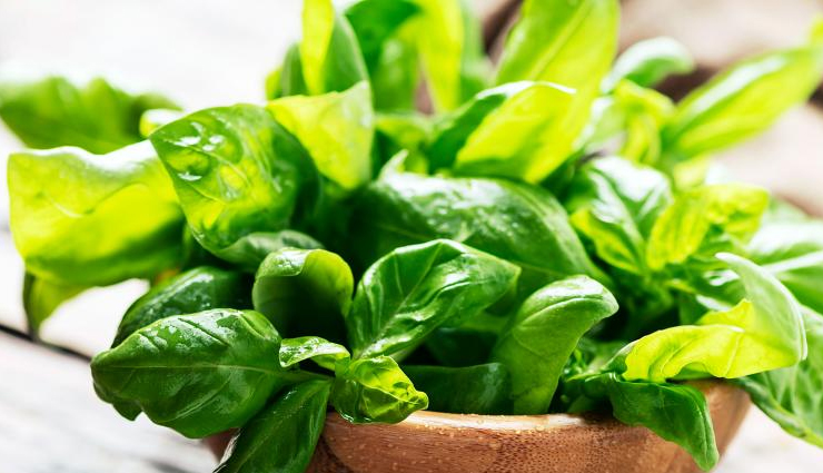 anti-aging herbs for skin,herbs to combat skin aging,natural remedies for youthful skin,herbs for anti-aging skincare,fighting skin aging with herbs,herbal solutions for youthful appearance,best herbs to prevent skin aging,age-defying herbs for skin,herbal remedies for ageless skin,incorporating herbs in anti-aging routine