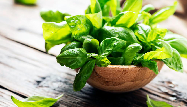 8 Amazing Health Benefits of Basil Leaves