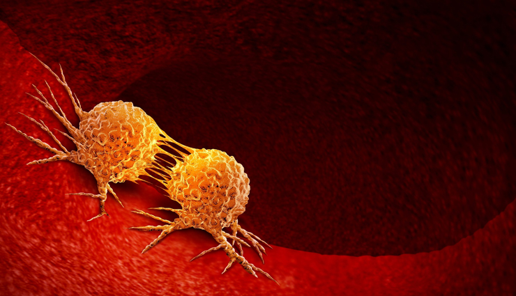 basil leaves,health benefits of basil leaves,Health tips,fitness tips