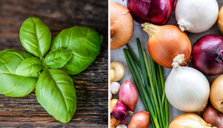 home remedies to get rid of back hair,back hair removal tips,beauty tips,beauty hacks,unwanted back hair