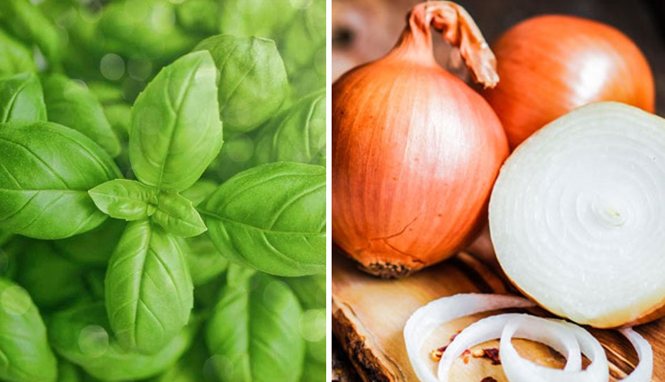 upper lip hair removal,natural ways to remove lip hair,home remedies for lip hair removal,removing lip hair naturally,upper lip hair removal methods,diy lip hair removal,natural upper lip hair removal,at-home lip hair removal,effective lip hair removal tips,home-based lip hair removal,facial hair removal diy,home remedies for facial hair,natural lip hair treatments,diy upper lip hair removal,safe lip hair removal methods,gentle facial hair removal,organic lip hair removal,homemade lip hair solutions,effective natural hair removal,diy waxing for upper lip,herbal lip hair removal,at-home tweezing methods,chemical-free hair removal,diy sugaring for lip hair,best natural hair removal techniques