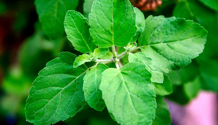 pregnant,increase change of being pregnant,pregnancy,Health,Health tips