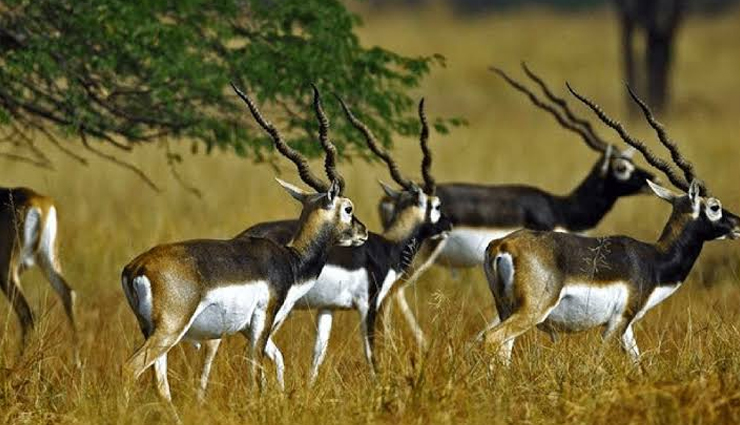 chittorgarh tourist places,explore chittorgarh rajasthan,best places to visit in chittorgarh,chittorgarh attractions,top tourist spots in chittorgarh rajasthan,chittorgarh fort and other landmarks,historical places in chittorgarh,chittorgarh sightseeing destinations,must-visit places in chittorgarh rajasthan,chittorgarh travel guide