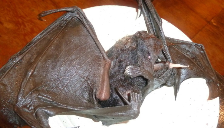 nigerian food,weird nigerian food,travel,holidays,travel guide