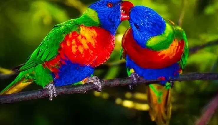 visit tourist places of bathinda,bathinda,tourism,holidays,travel,places of bathinda