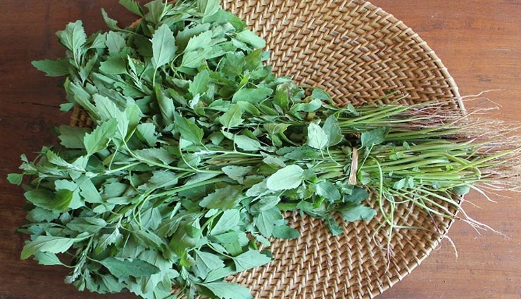 bathua,health benefits of bathua,bathua benefits,health benefits,Health tips