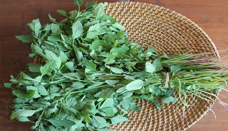 seasonal vegetable,seasonal vegetable for good health,Health,healthy vegetable,Health tips,healthy living