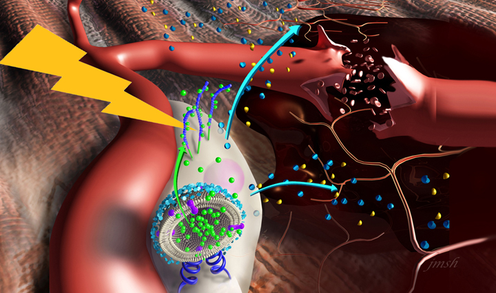 सर्दियों में जरूर करें बथुआ का सेवन, सेहत को मिलेंगे ये जबरदस्त फायदे winter health benefits of bathua,reasons to consume bathua in winter,tremendous health benefits of winter bathua,bathua advantages for winter well-being,must-have winter superfood: bathua,nutritional benefits of consuming bathua in winter,winter wellness with bathua consumption,bathua and its health perks in winter,boost your health with winter bathua,incredible advantages of eating bathua during winter