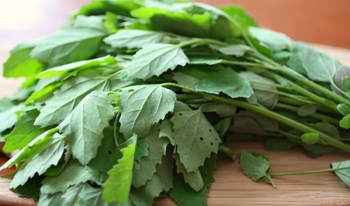 बथुआ है बहुत गुणकारी, सर्दियों में इसके सेवन से होंगे ये कमाल के फायदे