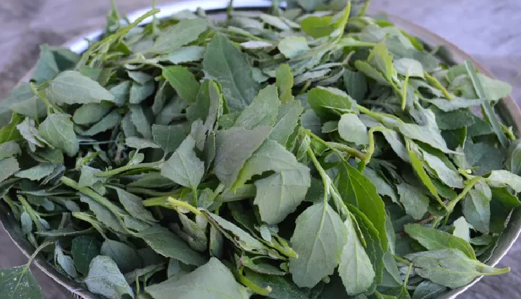 bathua raita health benefits,nutritious bathua raita recipe,bathua raita for good health,bathua raita benefits,healthy bathua raita recipe,delicious bathua raita preparation,bathua yogurt dip for health,bathua raita nutritional value,how to make bathua raita,bathua raita dish for wellness