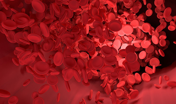 सर्दियों में जरूर करें बथुआ का सेवन, सेहत को मिलेंगे ये जबरदस्त फायदे winter health benefits of bathua,reasons to consume bathua in winter,tremendous health benefits of winter bathua,bathua advantages for winter well-being,must-have winter superfood: bathua,nutritional benefits of consuming bathua in winter,winter wellness with bathua consumption,bathua and its health perks in winter,boost your health with winter bathua,incredible advantages of eating bathua during winter