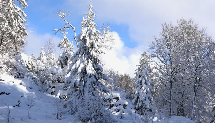 frozen places on earth,frozen landscapes,winter view,snowfall view,scotland,norway,bavarian forest,north london,china