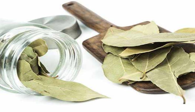 तेजपत्ता बनता हैं कई बिमारियों का काल, जानें इसके औषधीय गुणों के बारे में