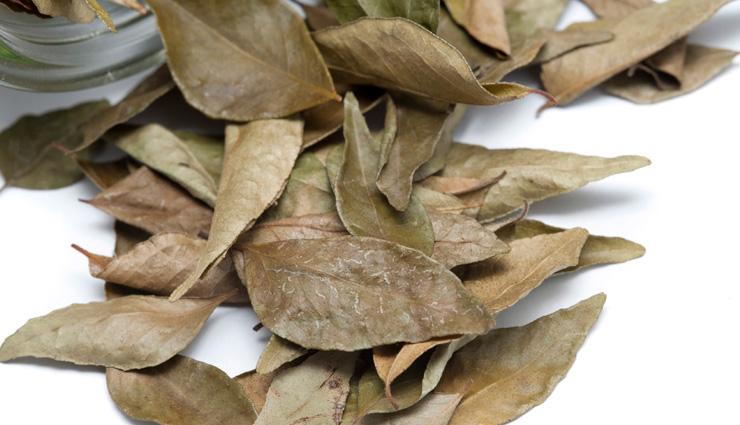 bay leaves,health benefits of bay leaves,Health tips,fitness tips