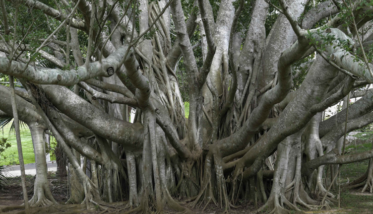 pregnant,increase change of being pregnant,pregnancy,Health,Health tips