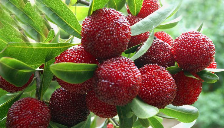 heroin withdrawal,heroin withdrawal remedies,remedies to treat heroin withdrawa,Health,Health tips