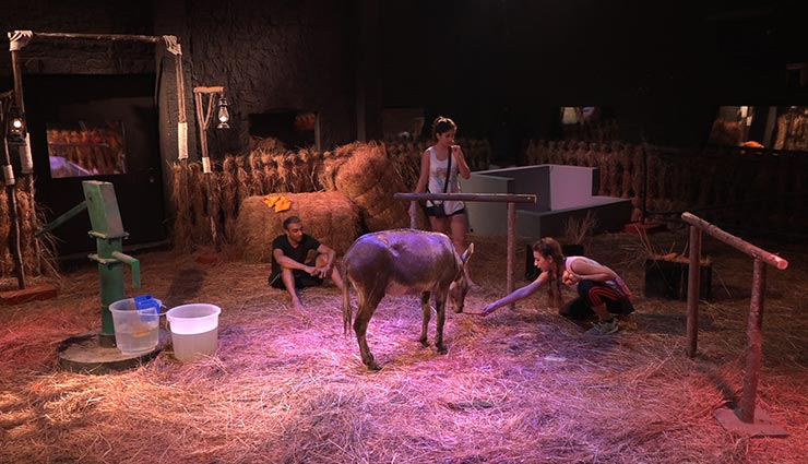 bigg boss 11 day 3,bigg boss 11,Salman Khan,bigg boss 11 news,bigg boss 11 gossip,Shilpa Shinde,vikas gupta,sapna choudhary,jyoti kumari