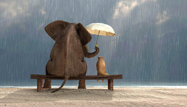 6 Tips on How To Be Nice and Adored By All