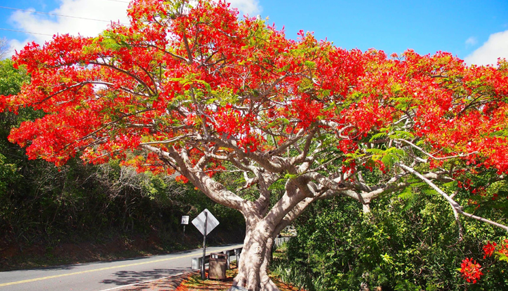 things you can enjoy in beechworth,holiday,travel,tourism