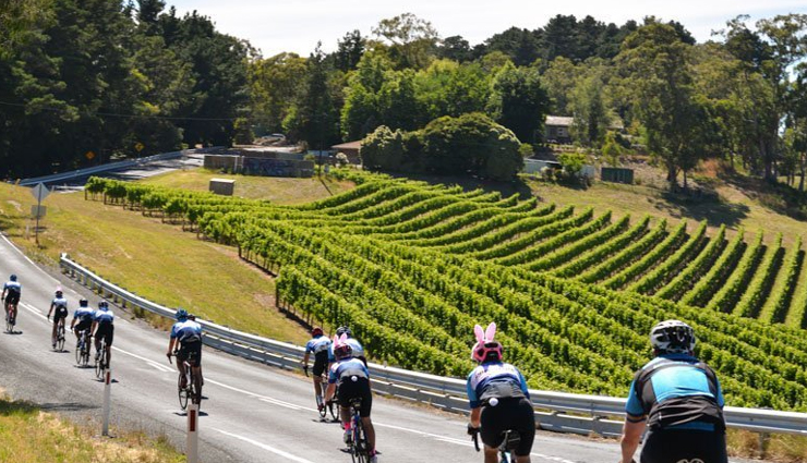 things you can enjoy in beechworth,holiday,travel,tourism