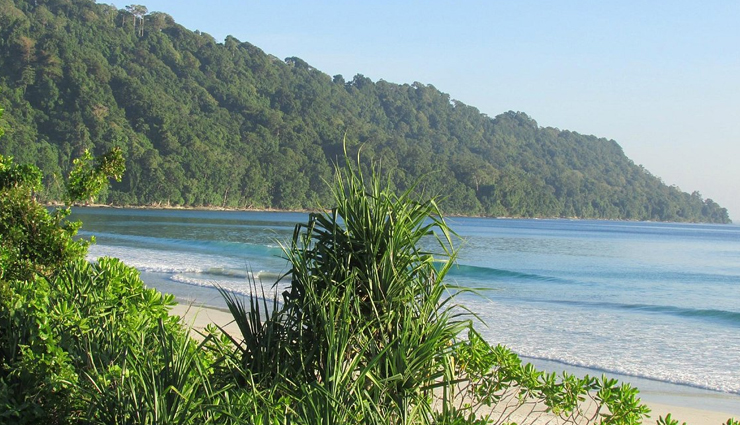 beaches,beaches in india,radhanagar beach,havelock island,tarkarli beach,maharashtra,gokarna,karnataka,mandrem,north goa,kapu,karnataka,marari beach,kerala